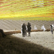 Illustration for article titled Designers Will Knit a Neon Rope Canopy Over MoMAs Concrete Courtyard This Summer